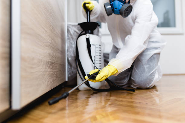 Best Affordable Exterminators  in Forsyth, GA