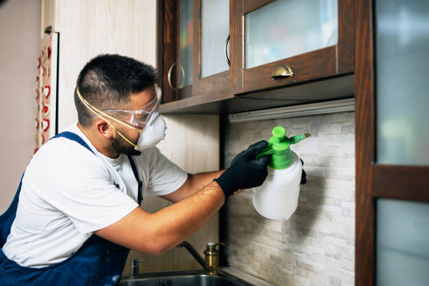 Best Pest Control for Restaurants  in Forsyth, GA