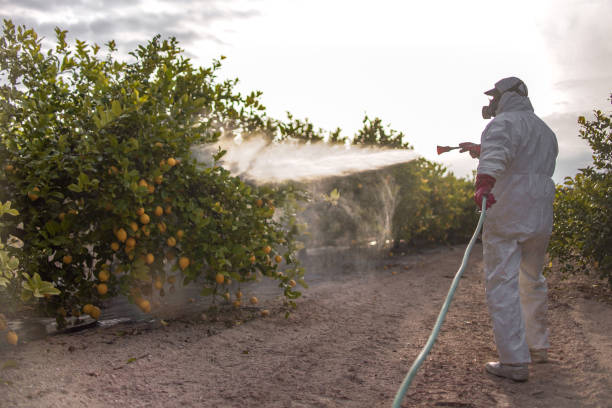 Best Exterminator Services  in Forsyth, GA