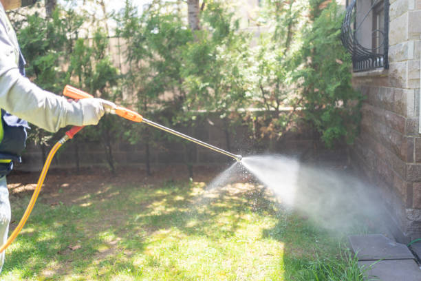 Best Local Pest Control Services  in Forsyth, GA