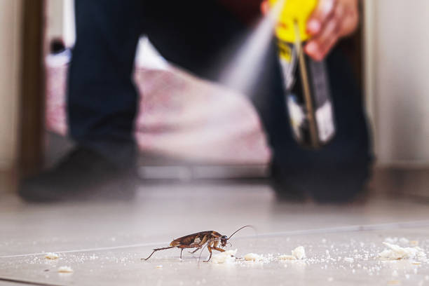 Best Wasp Removal Services  in Forsyth, GA