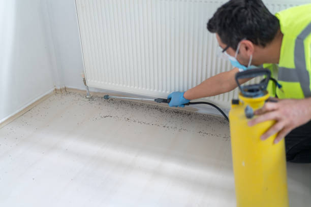 Best Residential Pest Control  in Forsyth, GA